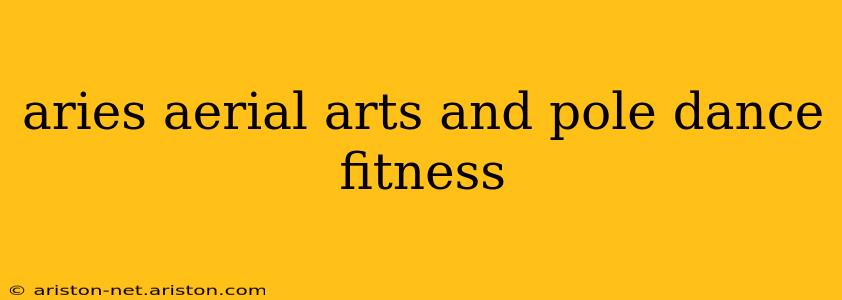 aries aerial arts and pole dance fitness
