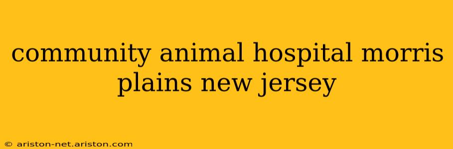 community animal hospital morris plains new jersey