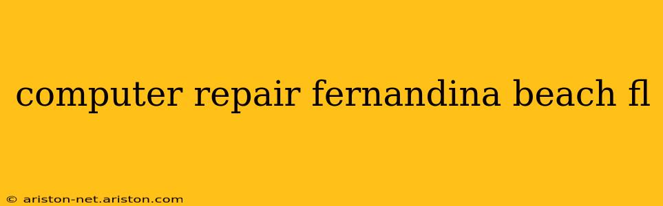computer repair fernandina beach fl