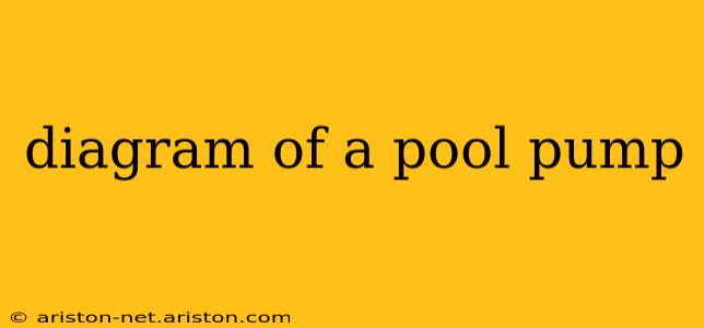 diagram of a pool pump
