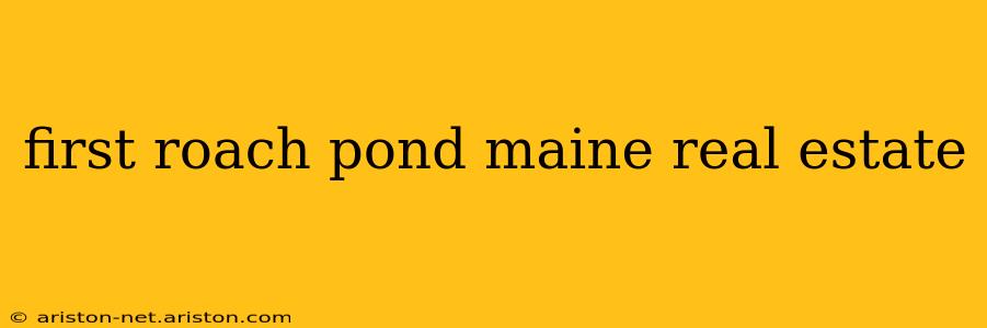 first roach pond maine real estate
