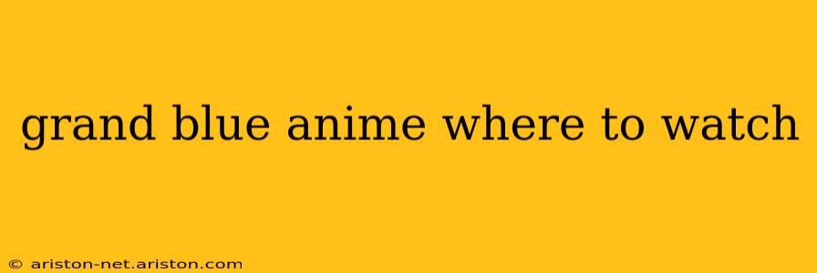 grand blue anime where to watch