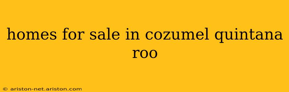 homes for sale in cozumel quintana roo