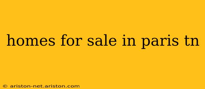 homes for sale in paris tn