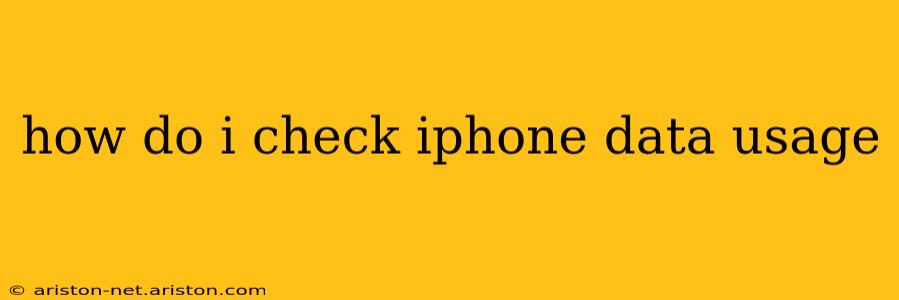 how do i check iphone data usage