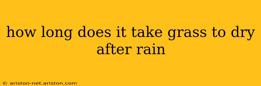 how long does it take grass to dry after rain