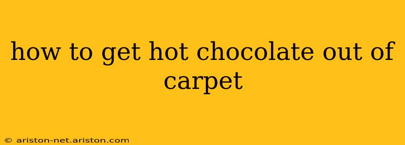 how to get hot chocolate out of carpet
