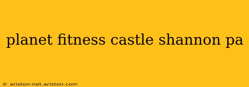 planet fitness castle shannon pa