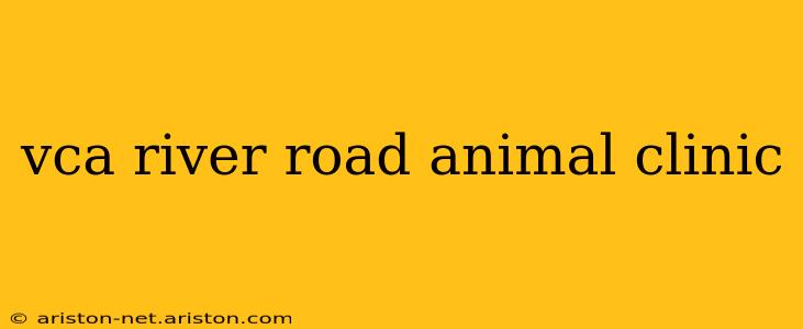 vca river road animal clinic