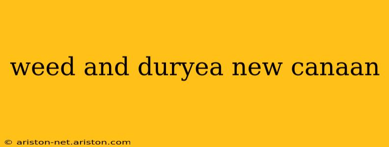 weed and duryea new canaan