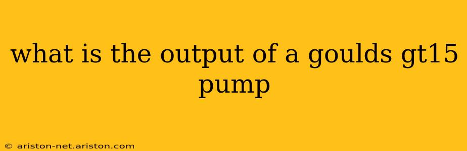 what is the output of a goulds gt15 pump